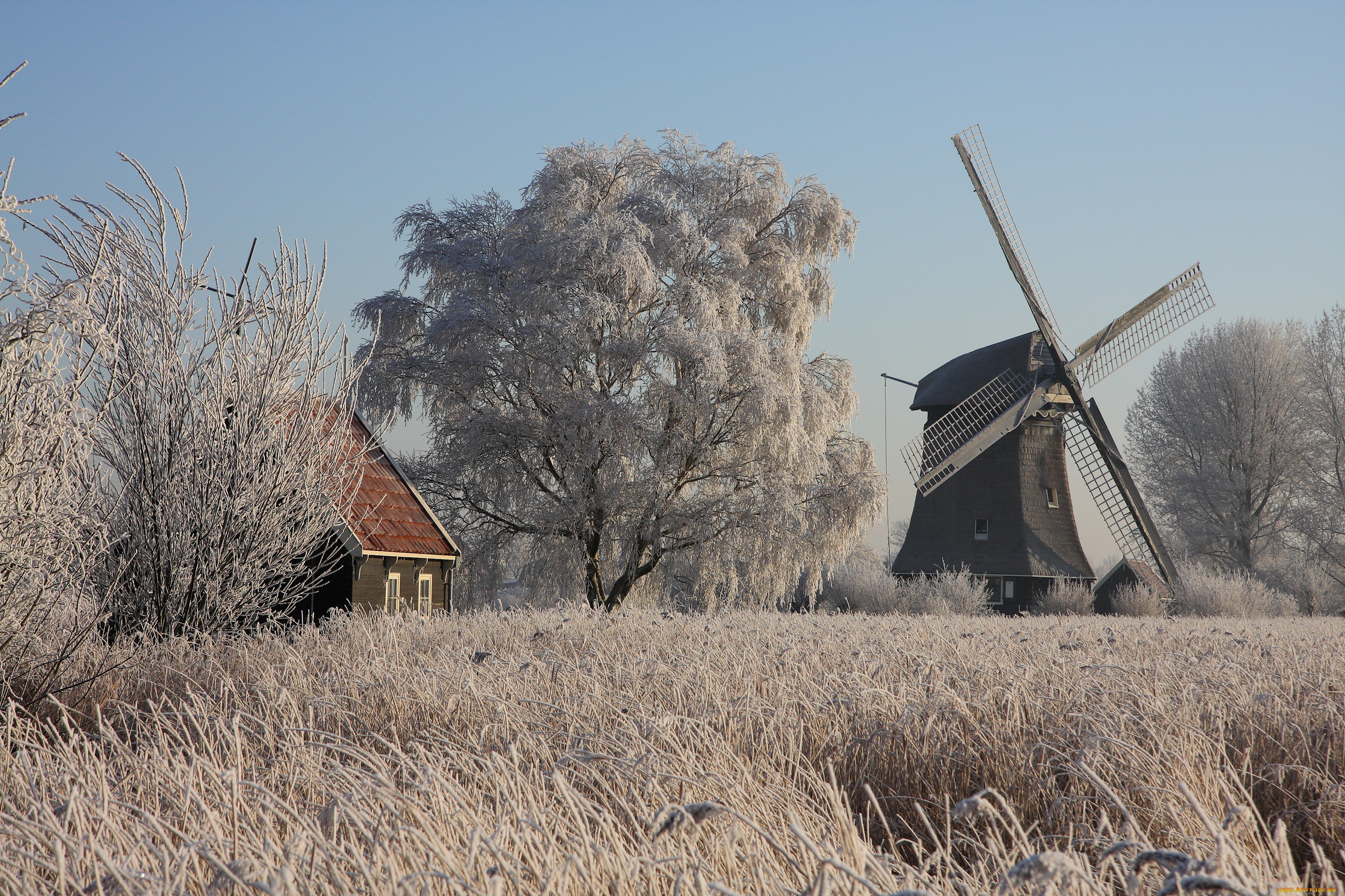 , , grass, windmill, house, ice, trees, winter